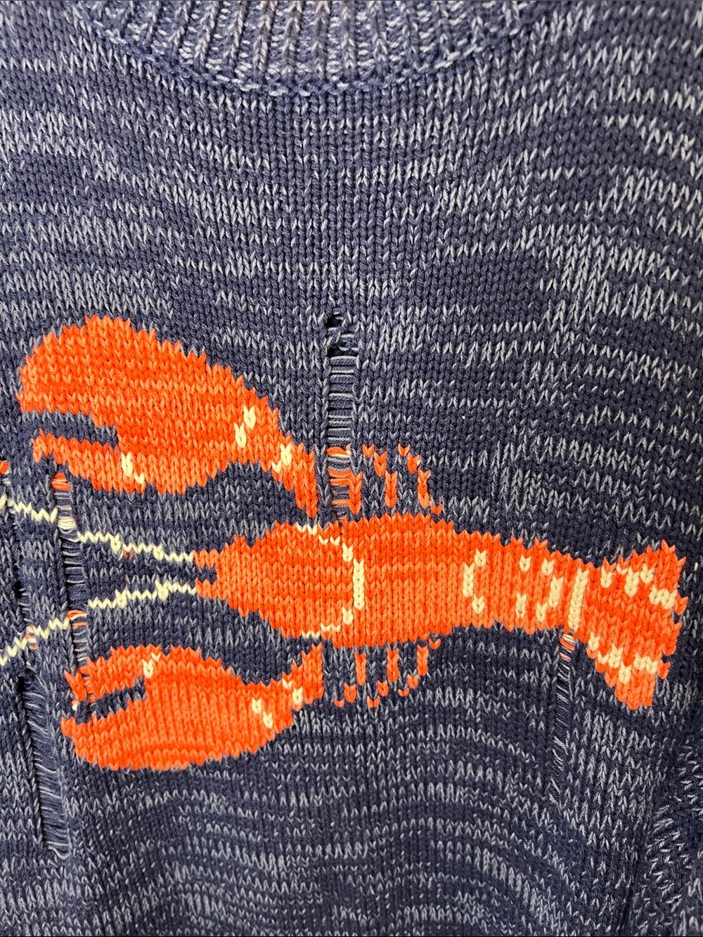 BDG Urban Outfitters Kurt Lobster Graphic Distressed Oversized Sweater - Picture 9 of 13